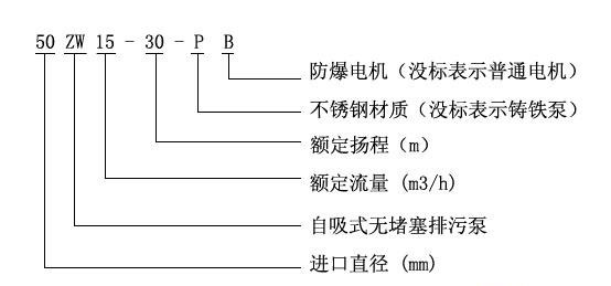 ZW型自吸式无堵塞合欢app下载污免费版型号意义