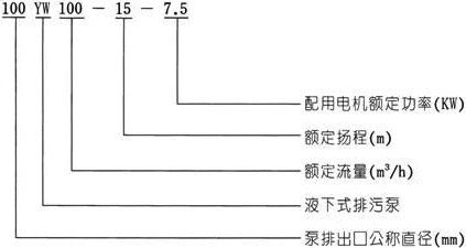 YW无堵塞液下式合欢app下载污免费版型号意义